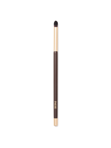 PAESE Akių Modeliavimo...